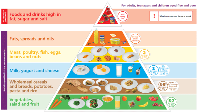 food pyramid